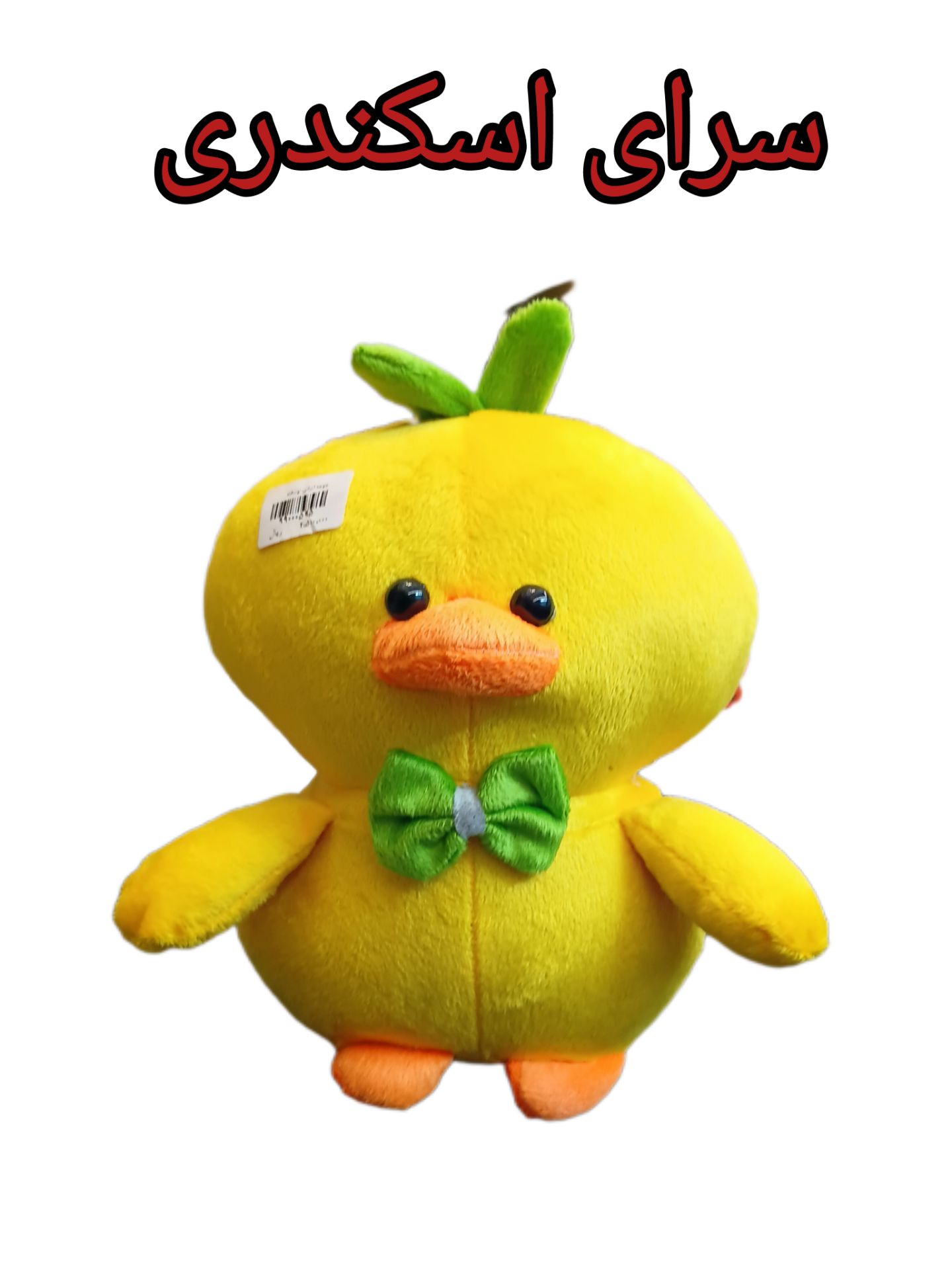 جوجه ایرانی توشگاه