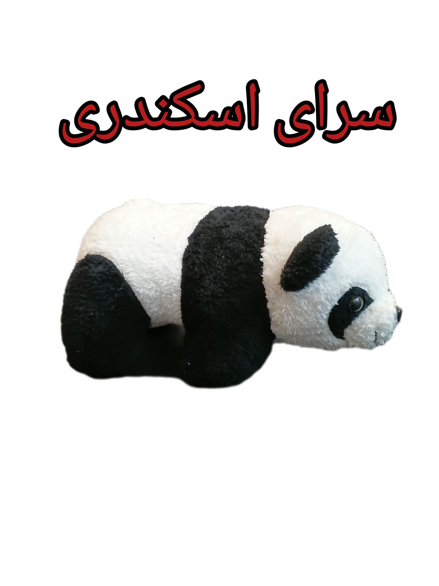 پاندا خوابیده