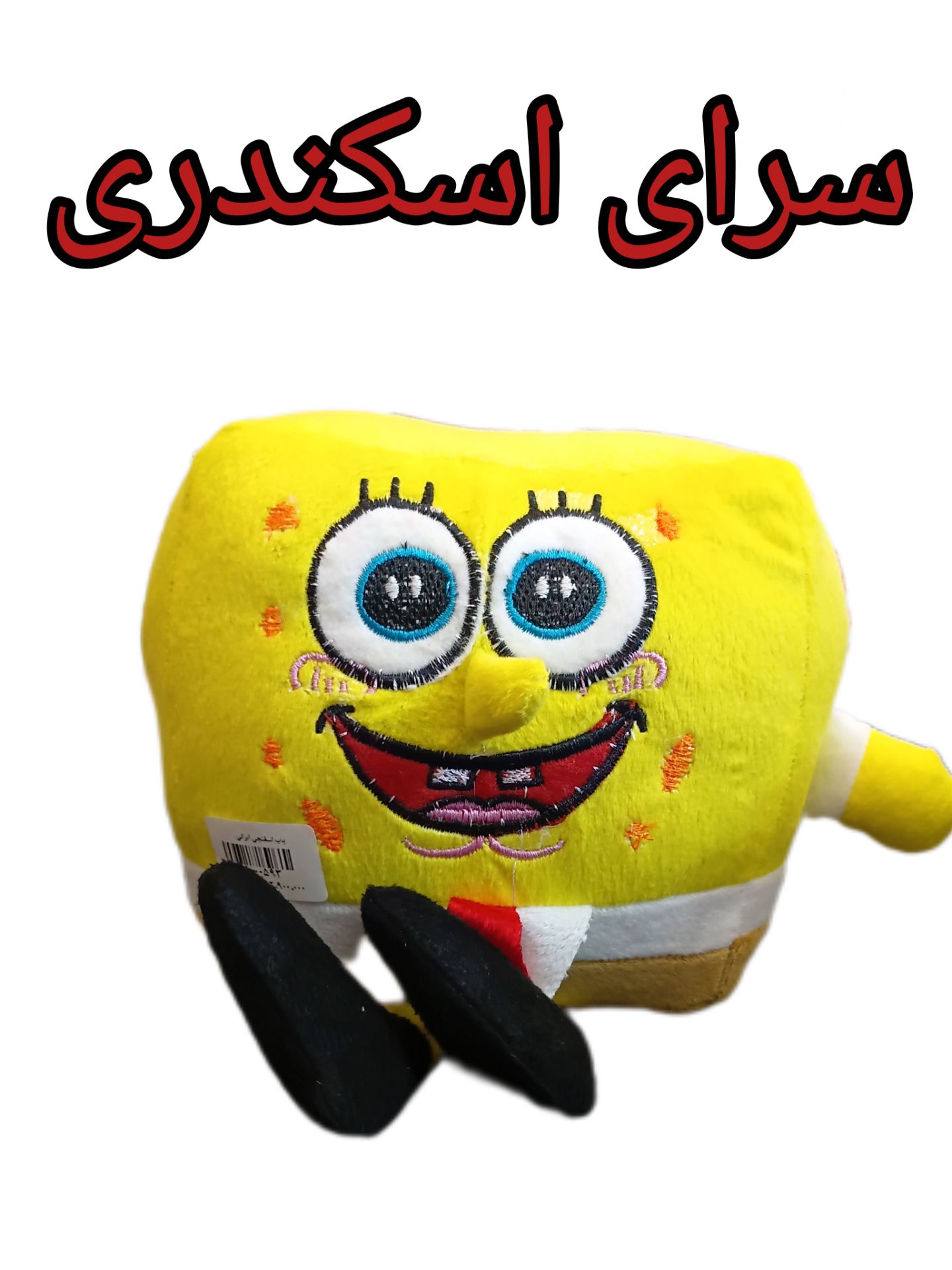 باب اسفنجی ایرانی