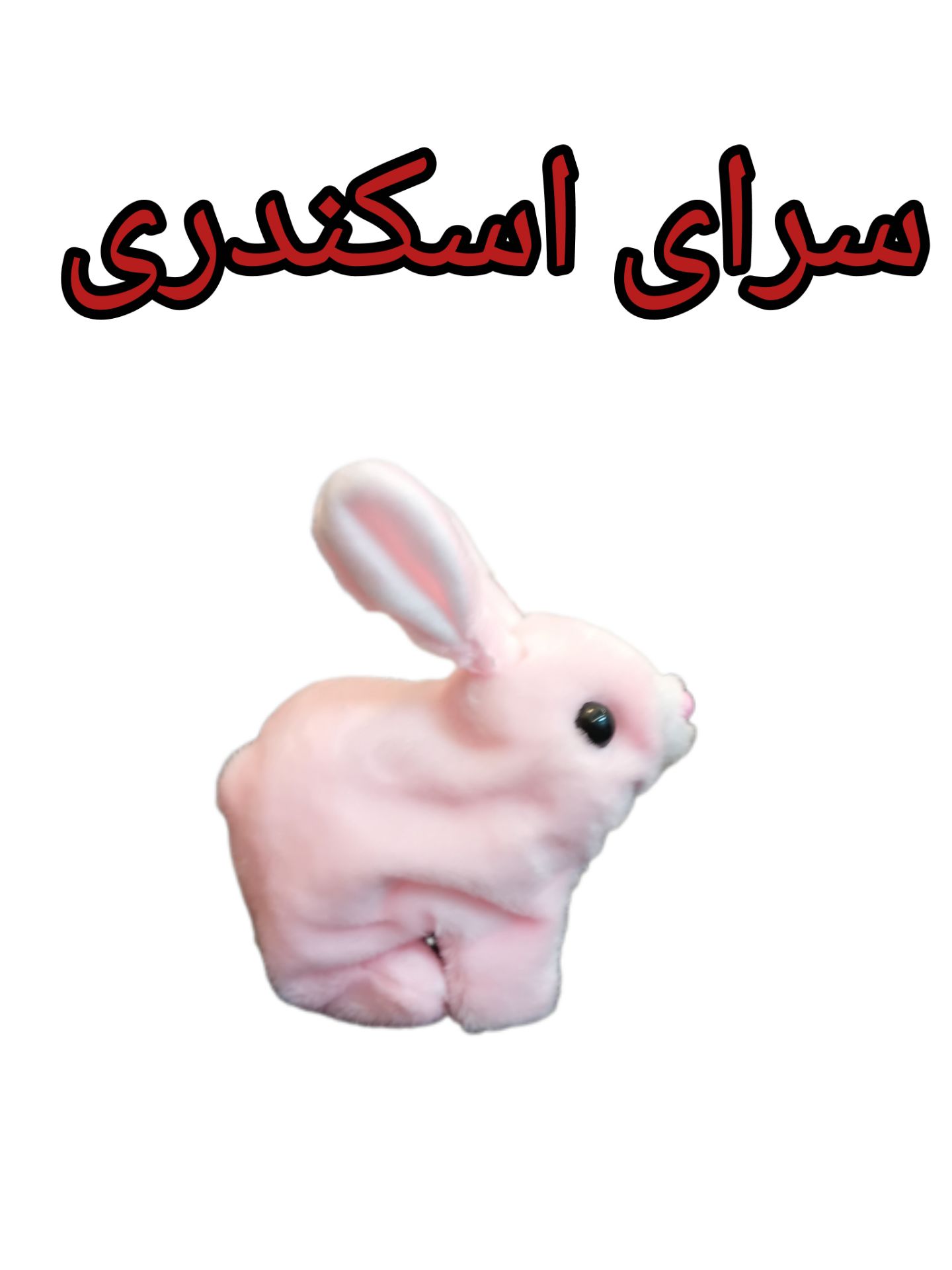خرگوش باتری خور پولشی